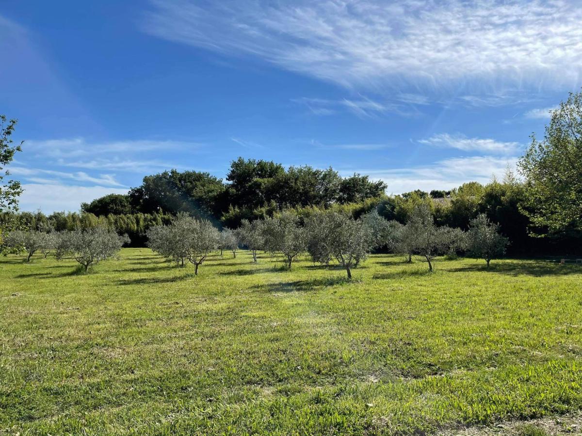 Appartement De Charme Sud Luberon Classe 4 Etoiles Puyvert Zewnętrze zdjęcie